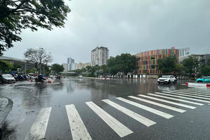 Thời tiết ngày 01/01/2026: Bắc Bộ có mưa rào rải rác