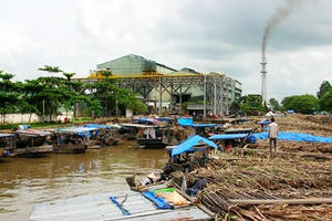 Khốc liệt "cuộc chiến" thu mua mía