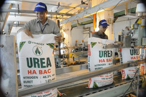 Đạm Hà Bắc (DHB) lỗ nặng trong năm 2024, đối mặt với áp lực nợ nần lớn