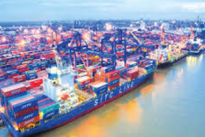 Cảng Đình Vũ (DVP) chia cổ tức kỷ lục, hướng tới mục tiêu kinh doanh mới