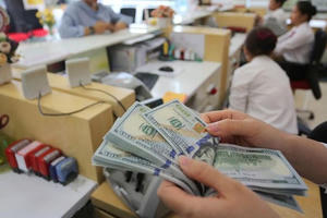 BVSC: Ngân hàng Nhà nước có thể đã mua 2 tỷ USD trong các tuần gần đây