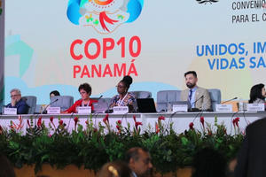 COP10: Công bố dữ liệu đời thực về kiểm soát thuốc lá mới