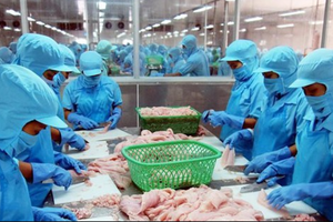 Vĩnh Hoàn (VHC) dự kiến lợi nhuận quý I đạt 540 tỷ đồng, lợi nhuận cả năm đạt hơn 1.600 tỷ đồng