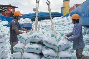 Giá gạo xuất khẩu của Việt Nam đạt đỉnh 8 năm