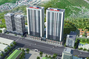 Lideco (NTL) đạt lợi nhuận kỷ lục năm 2024, bất chấp lỗ quý IV