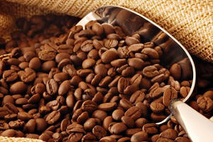 “Kích hoạt” các dự án PPP thế hệ mới trong nông nghiệp