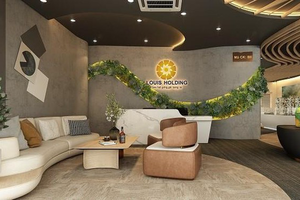 Sau đổi tên từ Louis Holdings sang Louis Land (BII), muốn chào bán 15 triệu cổ phiếu riêng lẻ giá 10.000 đồng
