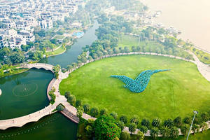 Xanh SM Platform cam kết chia sẻ doanh thu tới 80% trong 3 năm đầu, hỗ trợ đối tác tài xế an tâm sở hữu ô tô điện VinFast