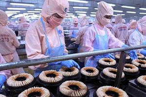 Hội đồng tư vấn chính sách tài chính tiền tệ quốc gia: Việt Nam chưa có dấu hiệu rủi ro về ổn định kinh tế vĩ mô