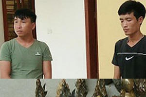 Lật tẩy thủ đoạn lừa bán đồ cổ giả chiếm đoạt tài sản