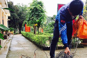 Kon Tum: Báo động tình trạng đặt bẫy săn bắt thú rừng