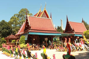 Ngôi chùa mọi người đến cầu xin “trúng số” biến thành “nghĩa địa gà”