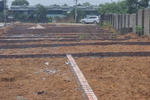 Những lô đất nền từng được nhà đầu tư “săn đón” giờ thành nơi tập kết rác, thả trâu bò