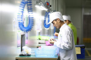 Lao động ở nước ngoài về nước khó tìm việc: Lãng phí 'tay nghề cao'