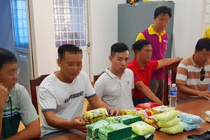 Bộ Công an triệt phá chuyên án, thu giữ gần 27 kg ma tuý ở An Giang