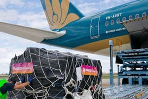 Vận chuyển hàng - 'phao cứu sinh' của doanh nghiệp vận tải