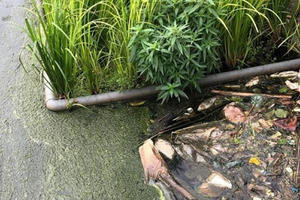 Vĩnh Yên: Cần có phương án công nghệ xử lý triệt để ô nhiễm môi trường hồ điều hoà Đầm Vậy