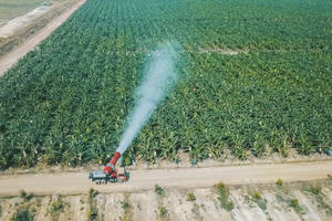 Lợi nhuận HAGL Agrico (HNG) sụt giảm trong quý I/2024