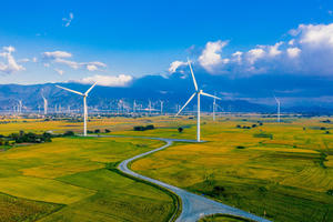 Dẫn đầu điện gió Đông Nam Á, Việt Nam chiếm 73% công suất điện gió