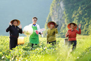 Cỏ Cây Hoa Lá: Gìn giữ tinh hoa cổ truyền, tạo dựng giá trị tương lai