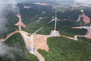 Tổng công ty Tân Hoàn Cầu tiếp tục bị cưỡng chế thuế ở Quảng Bình