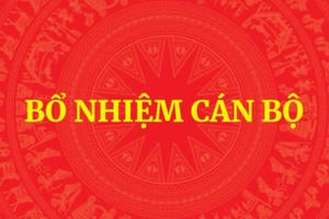 Thủ tướng bổ nhiệm nhân sự