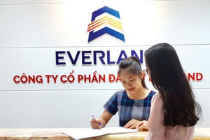 Cổ phiếu EVG lên đỉnh 3 năm, Everland liệu có hoàn thành kế hoạch kinh doanh?