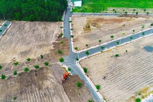 Nhiều sai phạm tại khu đất Alibaba rao bán sắp bị cưỡng chế