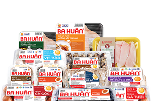 Ba Huân bị dừng làm thủ tục hải quan, lý do nợ thuế hơn 51 tỷ đồng