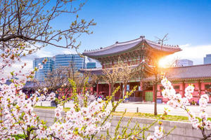 Hàn Quốc sẽ cấp lại visa cho khách du lịch Việt Nam từ 1/6