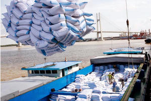 Xuất khẩu gạo đánh mất “cơ hội vàng”, doanh nghiệp tiếp tục khó khăn