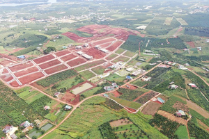 Lâm Đồng: Nhiều trường hợp phân lô, tách thửa vi phạm pháp luật