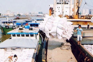 Doanh nghiệp xuất khẩu gạo bỗng dưng mất tờ khai hải quan