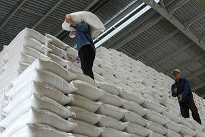 Nhiều doanh nghiệp từng “xù” ký hợp đồng gạo dự trữ vẫn trúng thầu