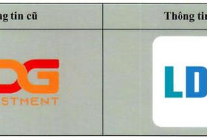 LDG 'thay áo mới' sau khi có cổ đông lớn, bức tranh tài chính vẫn ngập trong thua lỗ và áp lực trả nợ
