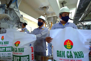 Báo lãi nhờ tiền gửi ngân hàng, Phân bón Dầu khí Cà Mau (DCM) kinh doanh lao dốc