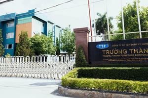 Chậm công bố thông tin tài chính bán niên 2024, Gỗ Trường Thành (TTF) bị nhắc nhở