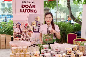 Kỳ vọng lứa doanh nghiệp lớn mới sẽ 'ra ràng'- Bài 2: Bước chuyển để hộ kinh doanh 'lột xác'