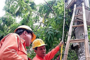 Thanh tra giá điện: Không phát hiện bất thường!