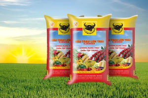 Phạt và truy thu thuế Phân bón Bình Điền (BFC) hơn 2,6 tỷ đồng