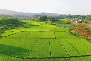 Trình tự, thủ tục cho phép chuyển mục đích sử dụng đất