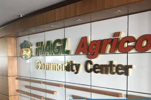 HAGL Agrico miễn nhiệm 2 phó tổng giám đốc trước thềm đại hội bất thường