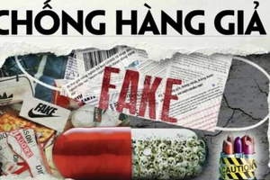 Ngăn chặn hàng giả, hàng nhái qua hoạt động xuất nhập khẩu: 'Lưới lọc' then chốt bảo vệ nền kinh tế và người tiêu dùng 