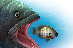 Hậu trường thương vụ công ty vốn điều lệ 1 tỷ đồng nhưng chi tiền gấp 500 lần mua cổ phiếu PC1