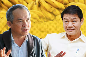 Đầu tư và tái cơ cấu nợ cả tỷ USD vào HAGL, Thaco muốn gì?