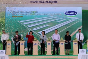 Tổ hợp trang trại bò sữa công nghệ cao Vinamilk tại Thanh Hóa mở ra bước phát triển mới