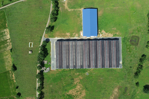 CEO ngân hàng lớn nhất Singapore tiết lộ nguồn vốn lớn sắp đổ vào đầu tư bền vững