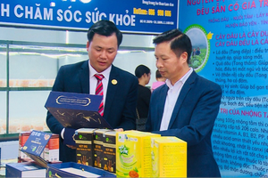 Nấm Tam Đảo: Thực phẩm bổ dưỡng cho mọi nhà!