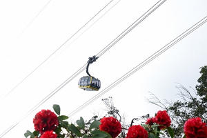 Giá vé cáp treo Fansipan ưu đãi riêng cho du khách 6 tỉnh Tây Bắc