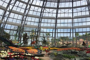 Vinpearl Land mở cửa Đồi Vạn Hoa - công viên thực vật độc đáo nhất Việt Nam